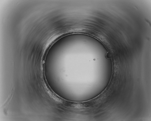 X0000103300792200809051521