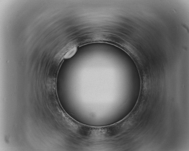 X0000103300793200809051521