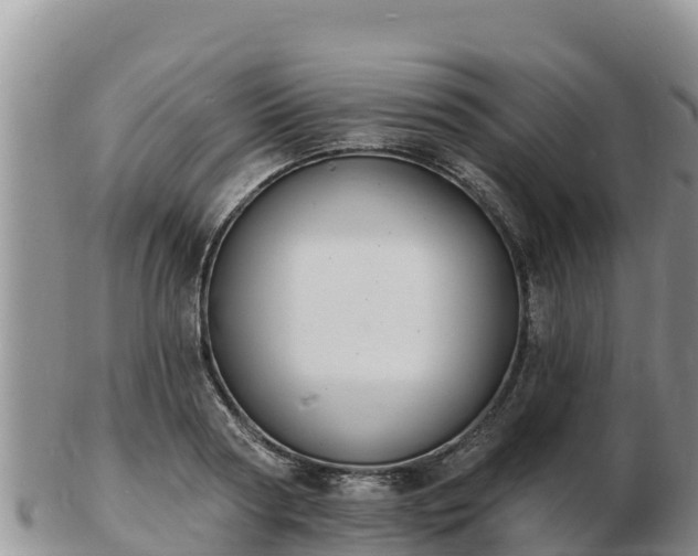 X0000103300794200809051521