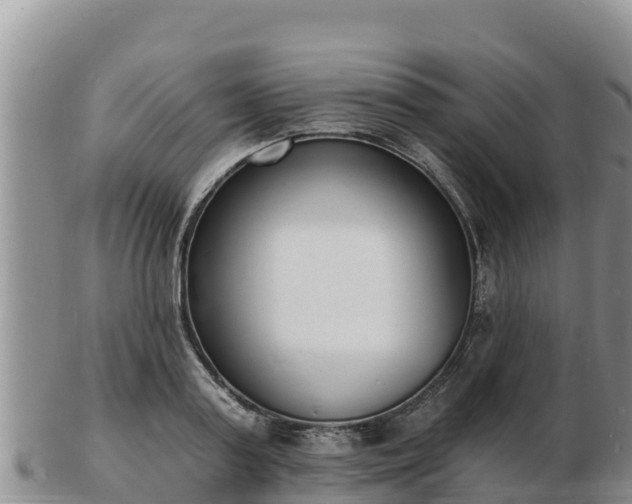 X0000103300795200809051521