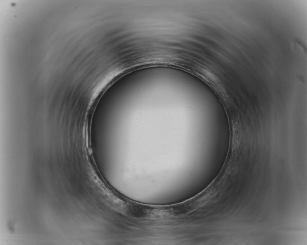 X0000103300796200809051521