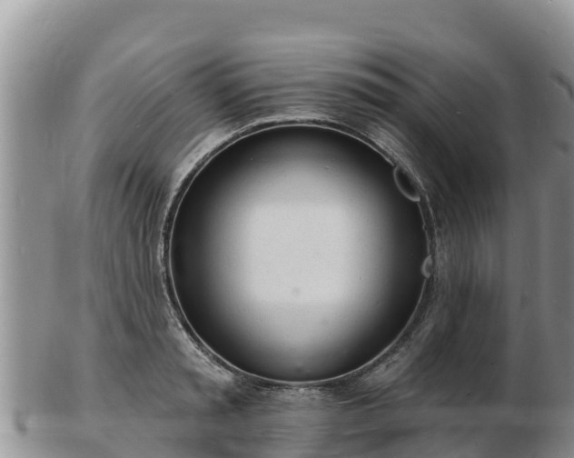 X0000103300797200809051521