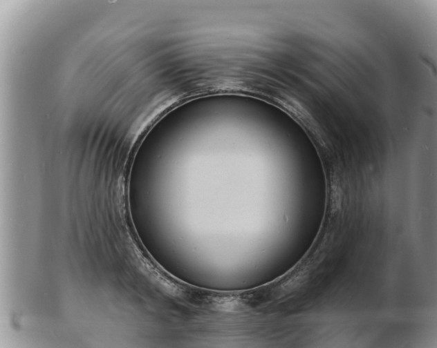 X0000103300798200809051521