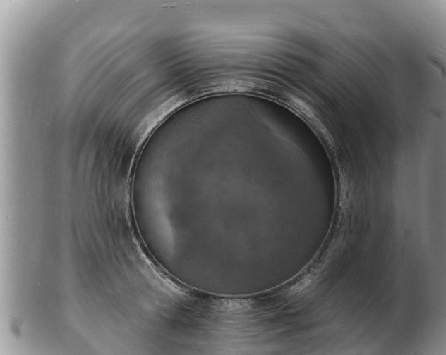 X0000103300802200809051521