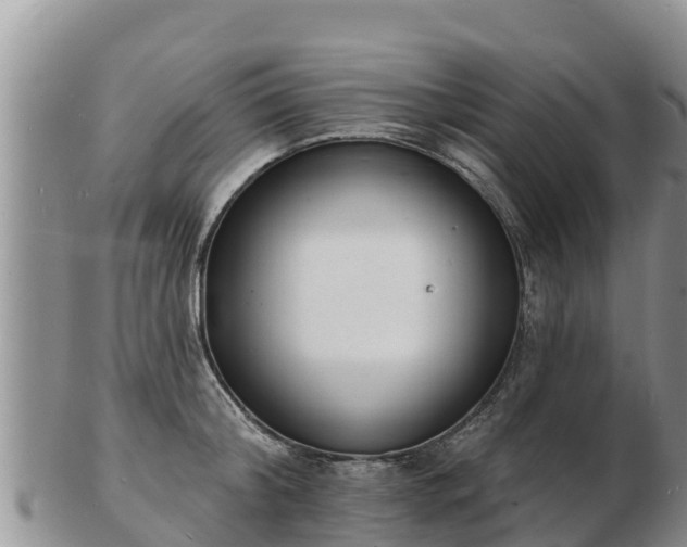 X0000103300804200809051521