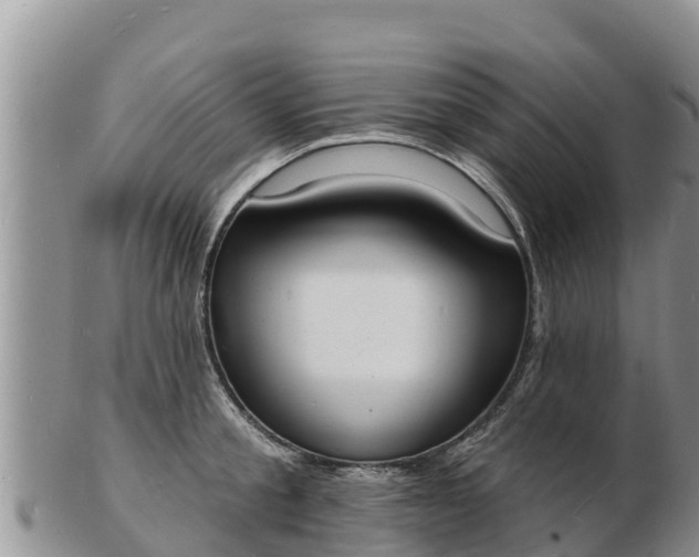 X0000103300805200809051521