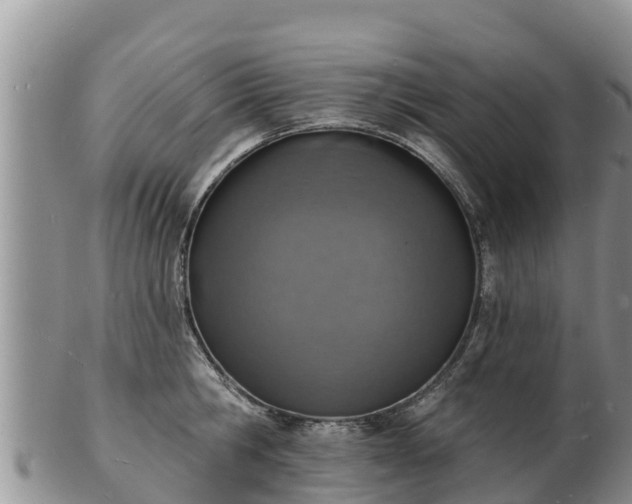 X0000103300806200809051521