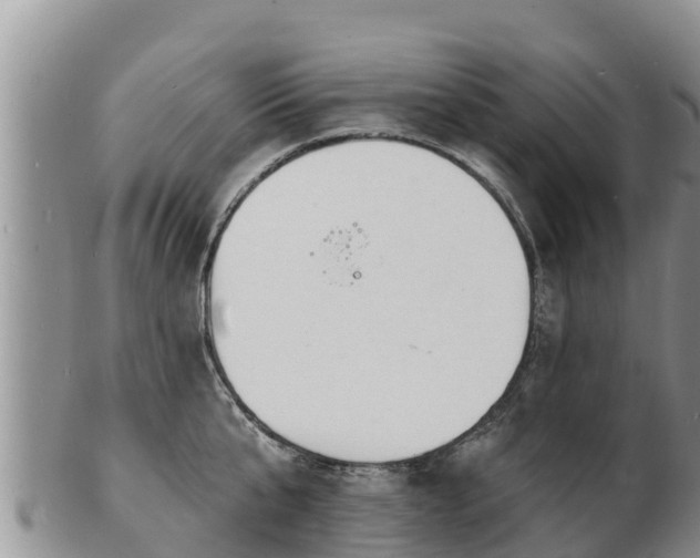 X0000103300807200809051521