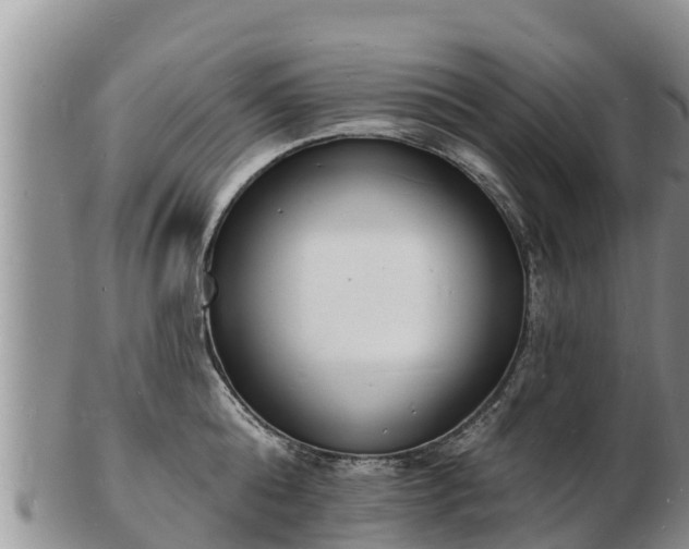 X0000103300808200809051521