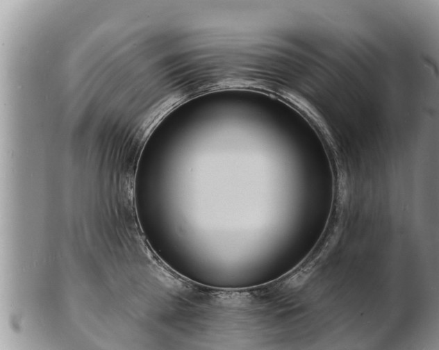 X0000103300809200809051521