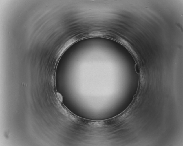 X0000103300810200809051521