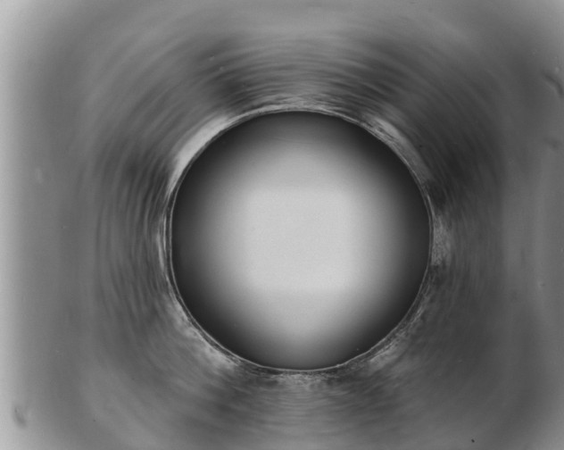 X0000103300812200809051521