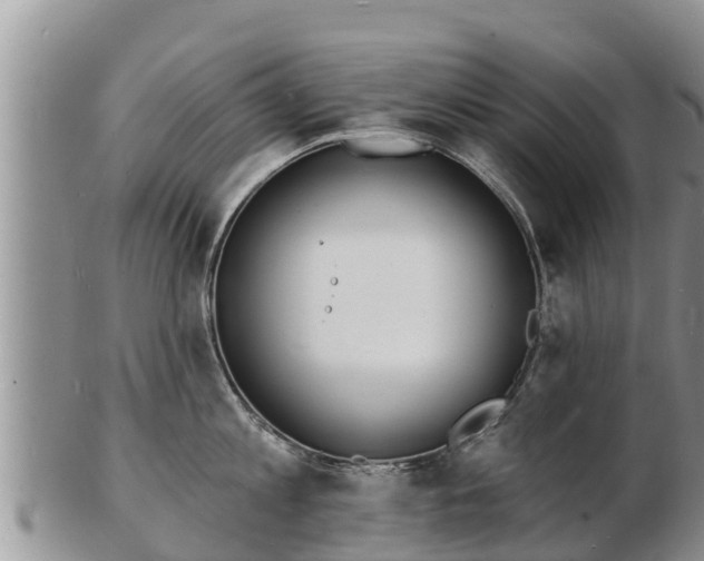 X0000103300813200809051521