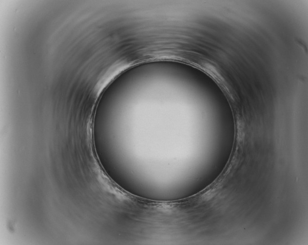 X0000103300814200809051521