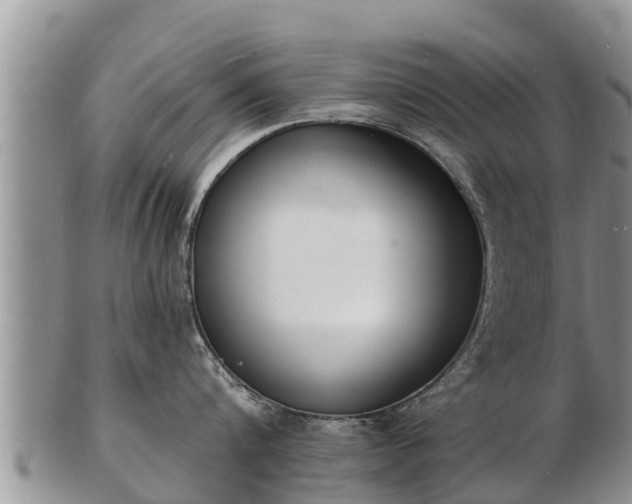 X0000103300816200809051521