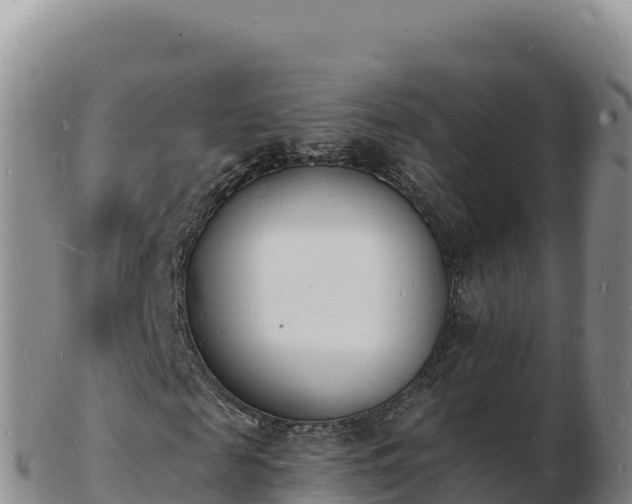 X0000103300817200809051520