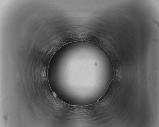 X0000103300818200809051520