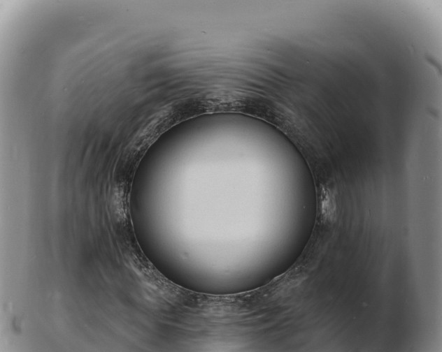 X0000103300819200809051520