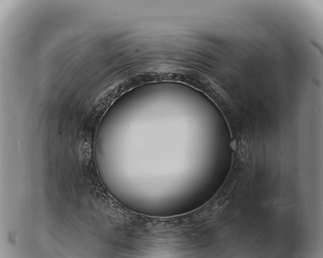 X0000103300821200809051520