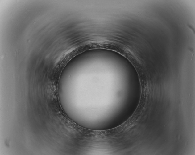 X0000103300822200809051520