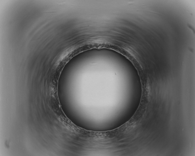 X0000103300823200809051520