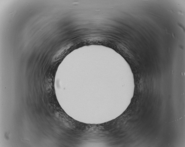 X0000103300824200809051520