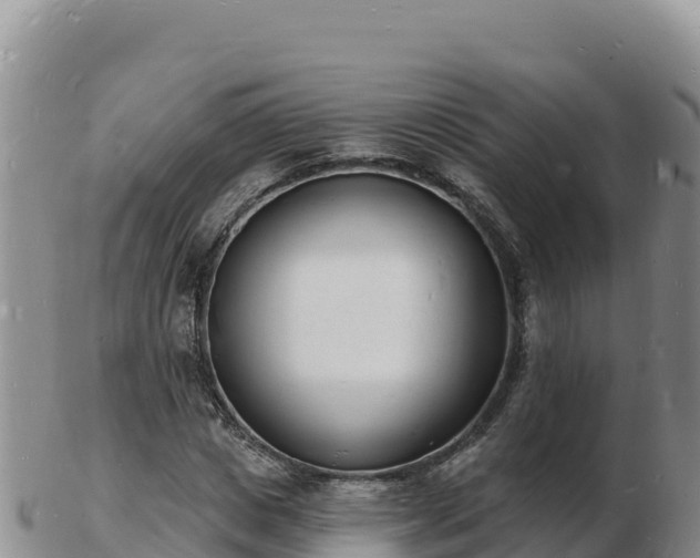 X0000103300825200809051520