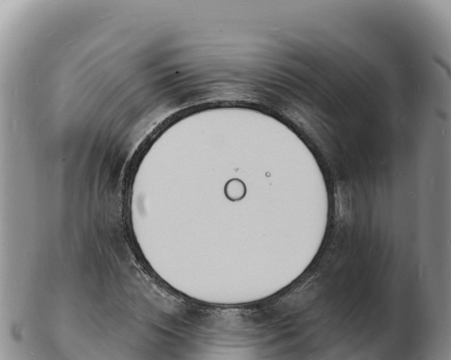 X0000103300828200809051520