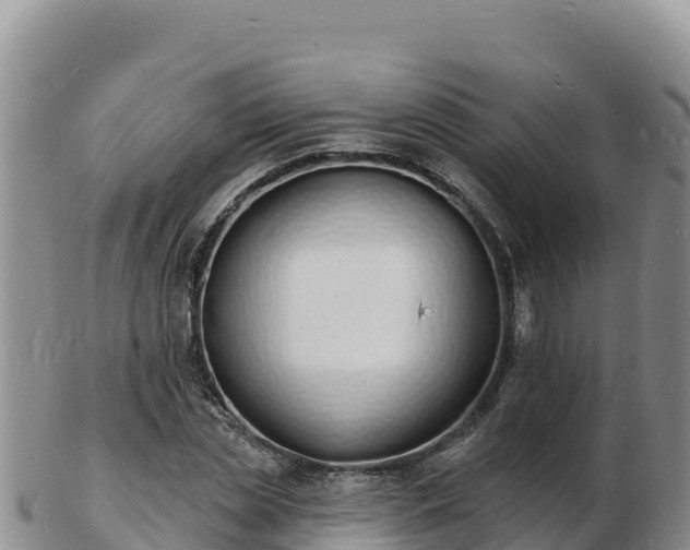 X0000103300829200809051520