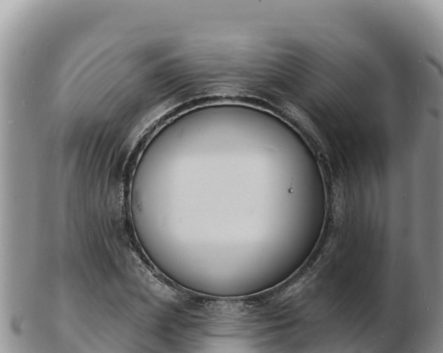 X0000103300831200809051520