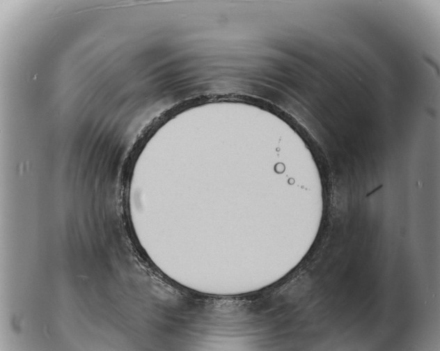 X0000103300832200809051520