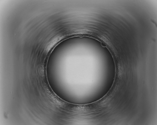 X0000103300834200809051521