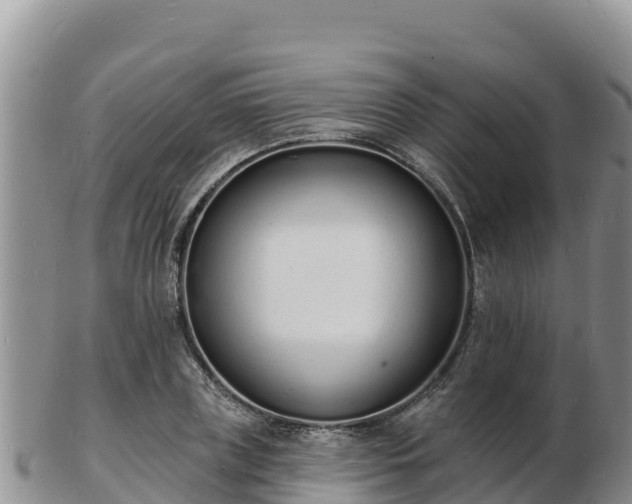 X0000103300835200809051521