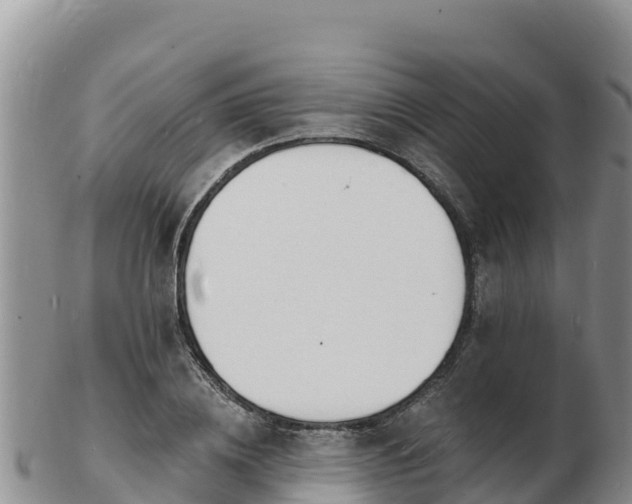 X0000103300836200809051521