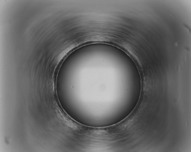 X0000103300837200809051521