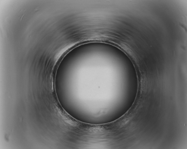 X0000103300838200809051521