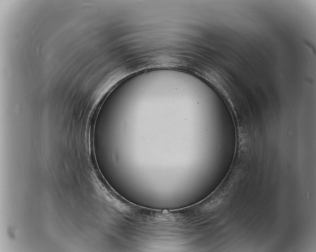 X0000103300843200809051521