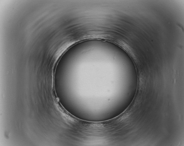 X0000103300844200809051521