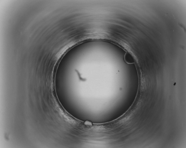 X0000103300845200809051521