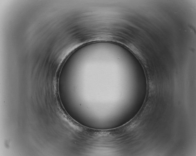 X0000103300846200809051521