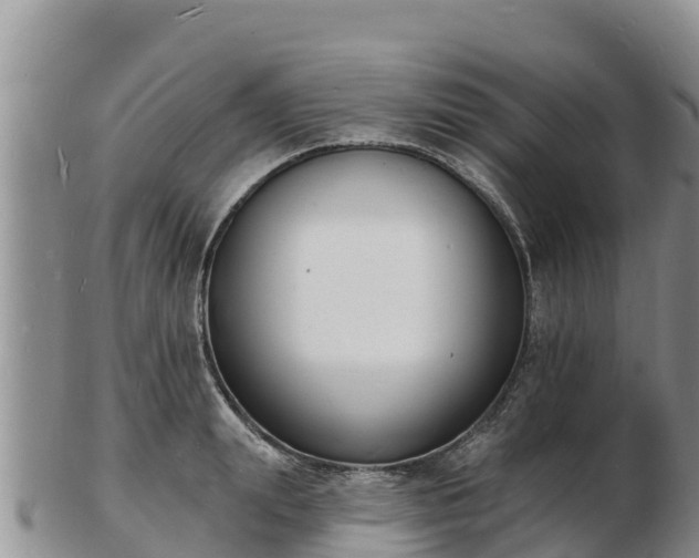 X0000103300847200809051521