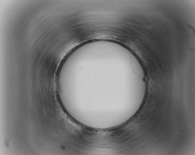 X0000103300848200809051521