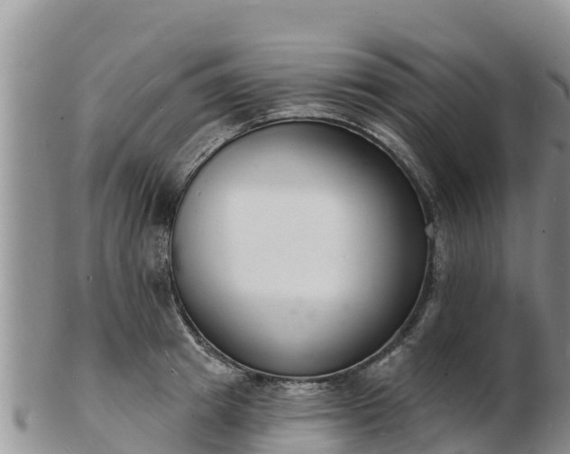 X0000103300849200809051521