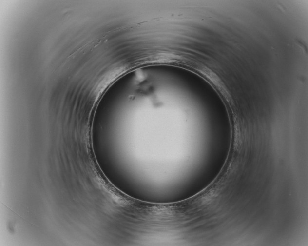 X0000103300850200809051521