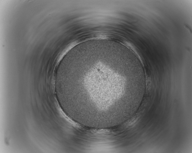 X0000103300851200809051521