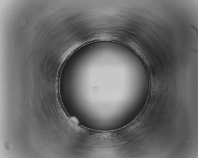 X0000103300853200809051521