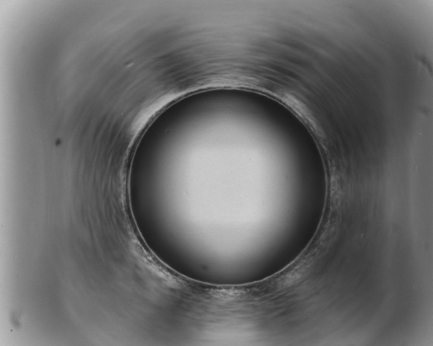 X0000103300854200809051521