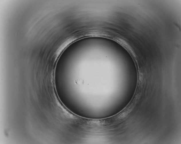 X0000103300855200809051521