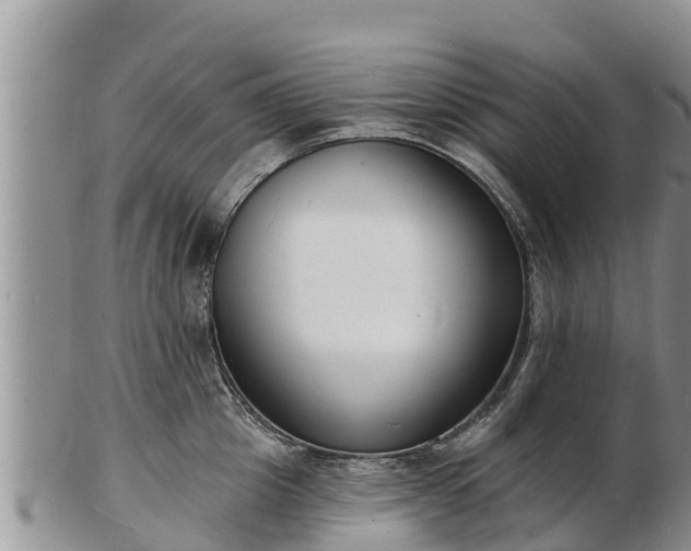 X0000103300857200809051521