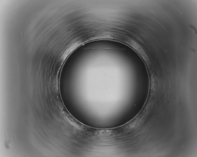 X0000103300858200809051521